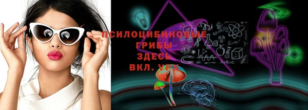 мескалин Инта