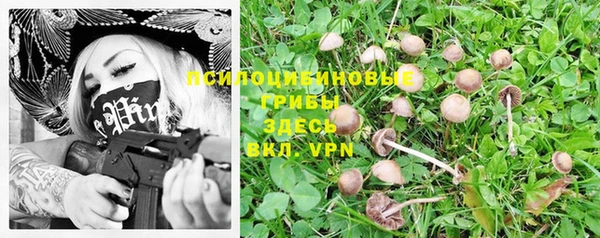 мескалин Инта
