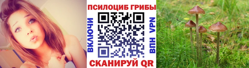 Купить где  Киржач  Галлюциногенные грибы прущие грибы 
